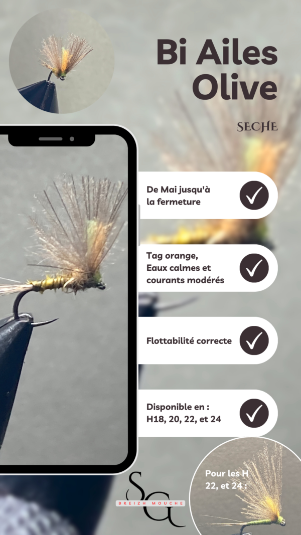 Bi Ailes – Image 2