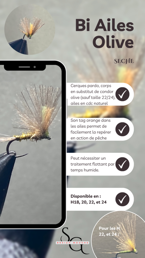 Bi Ailes – Image 3