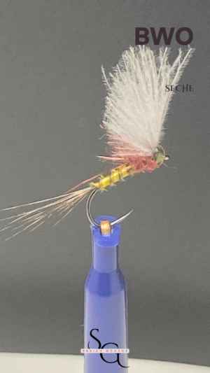 BWO