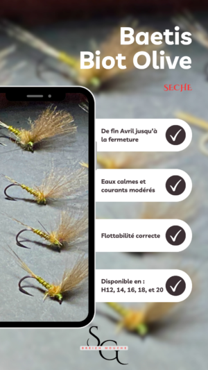 Baetis Biot Olive