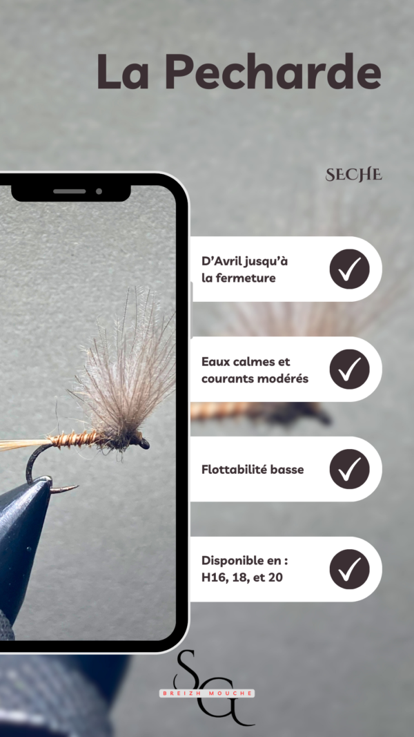 Pecharde – Image 2