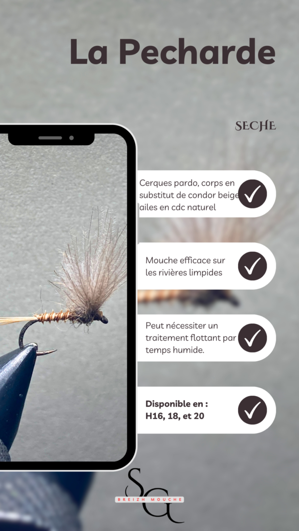 Pecharde – Image 3