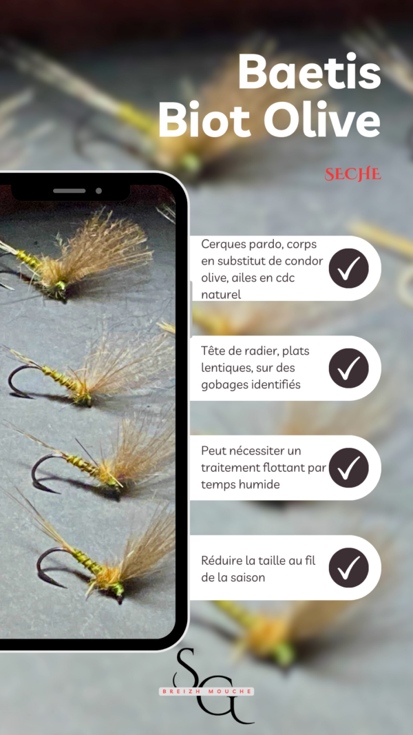 Baetis Biot Olive – Image 3
