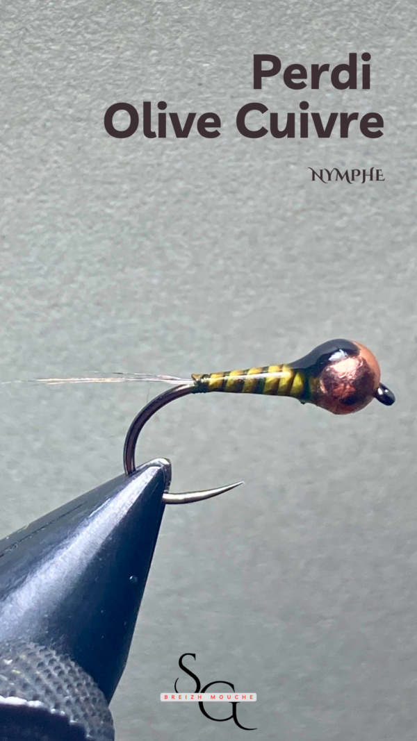 Perdi Olive – Image 4