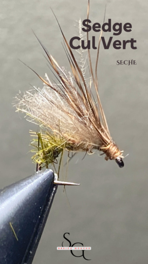 Sedge Cul Vert