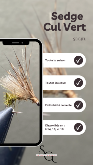 Sedge Cul Vert