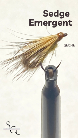 Sedge Emergent
