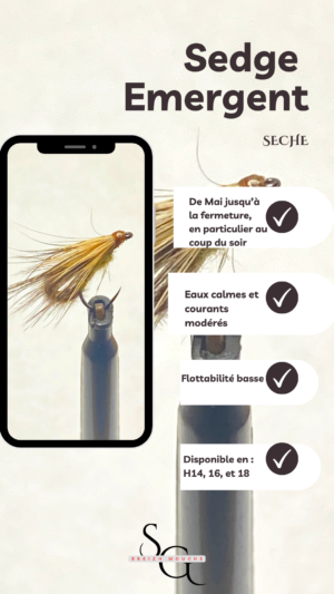 Sedge Emergent