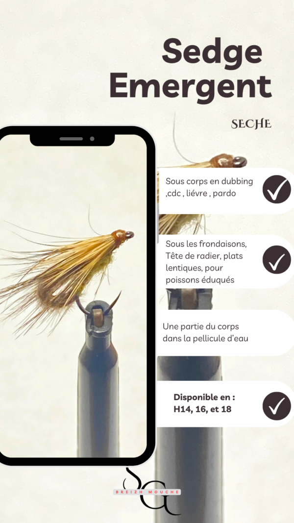 Sedge Emergent – Image 3