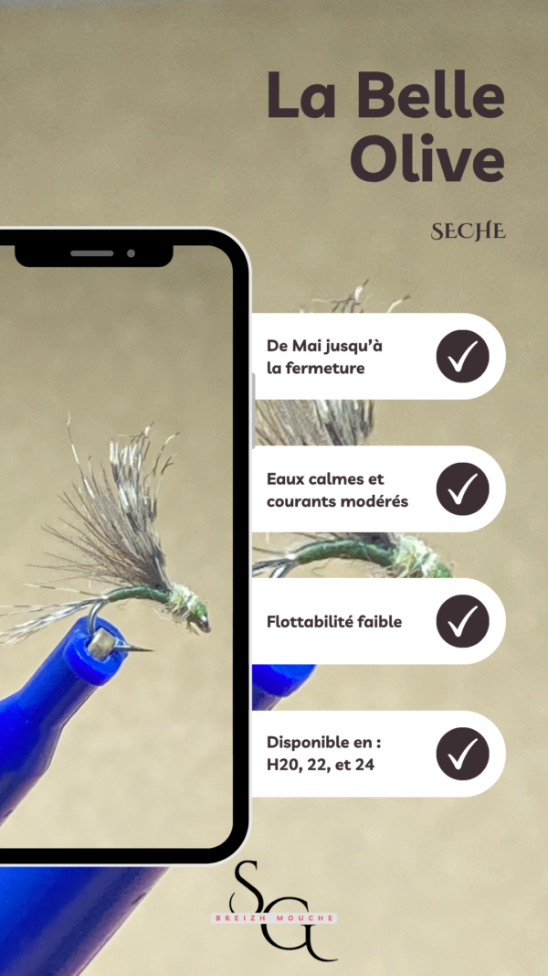 Belle Olive – Image 2