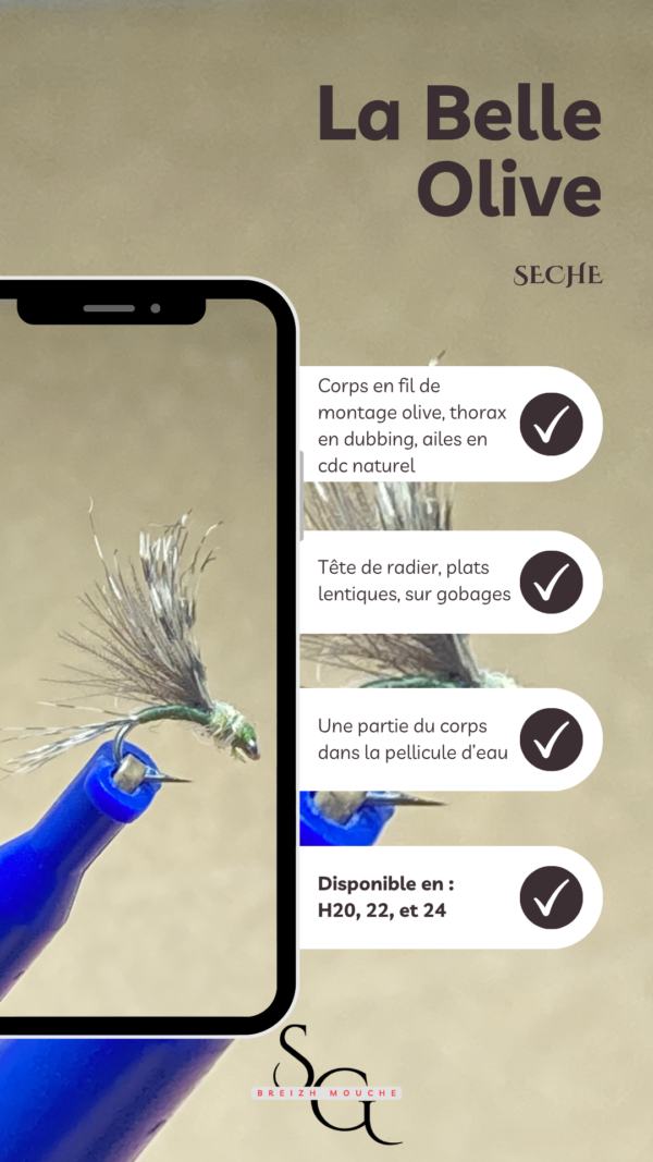 Belle Olive – Image 3