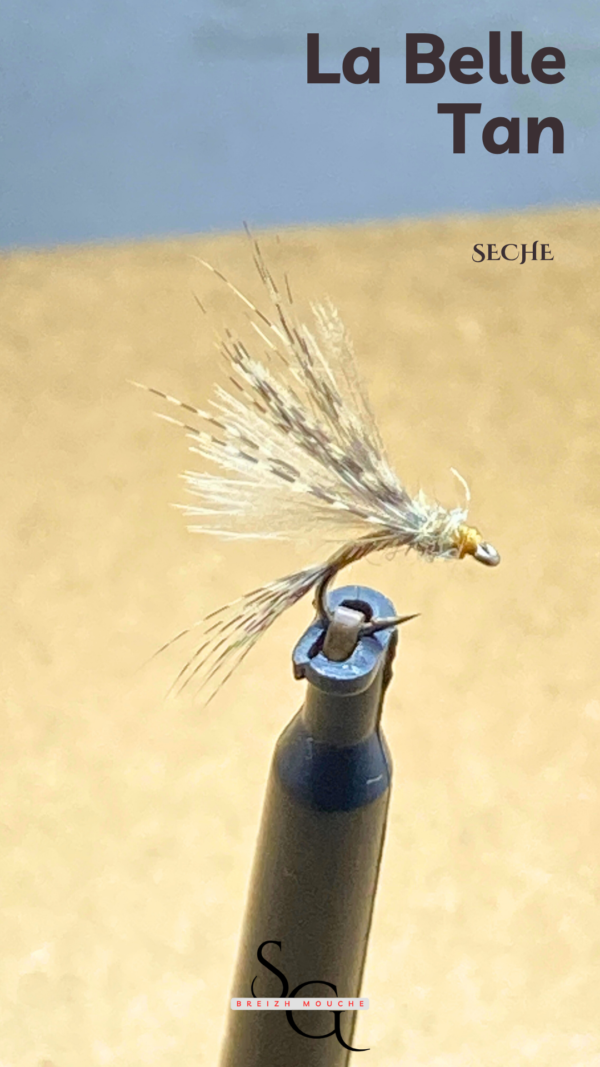 Belle Tan