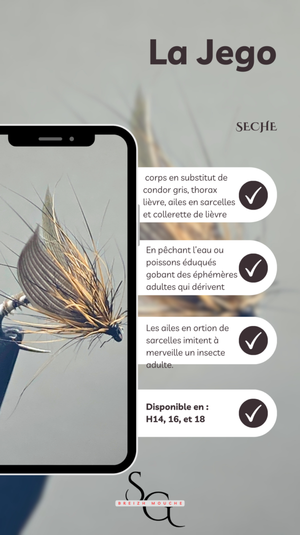 Jego – Image 3