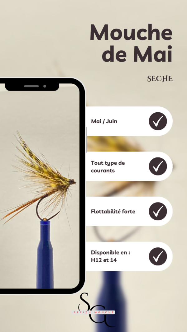 Mouche de Mai – Image 2