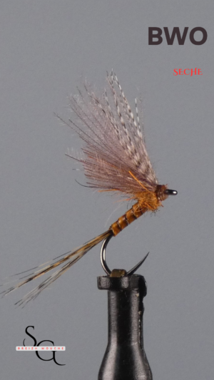 BWO