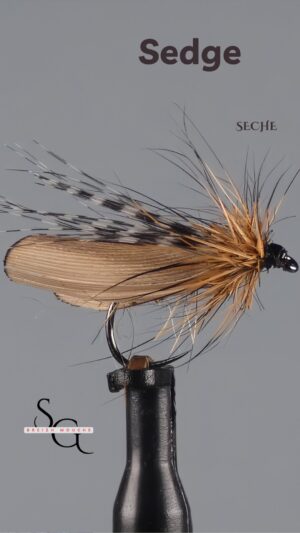 Sedge