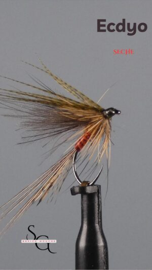 Ecdyo