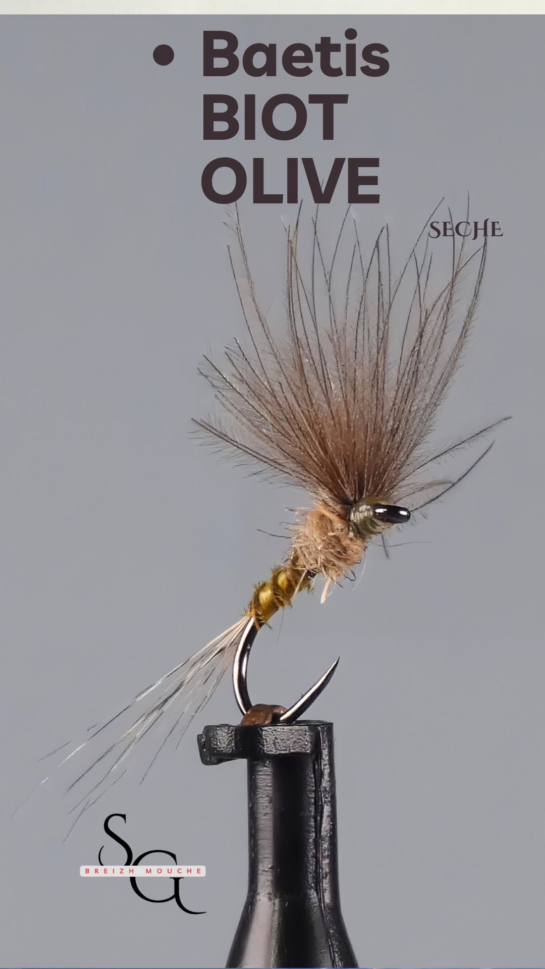 Baetis Olive – Image 2