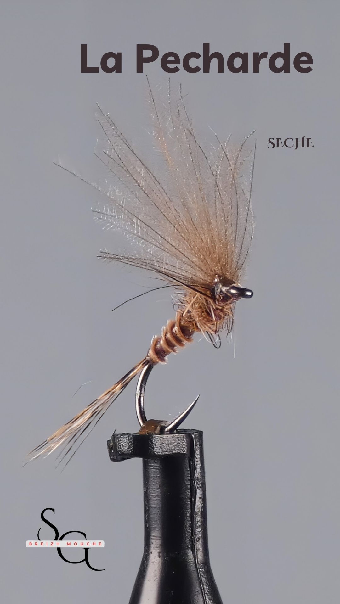 Pecharde – Image 2