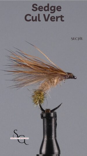 Sedge Cul Vert