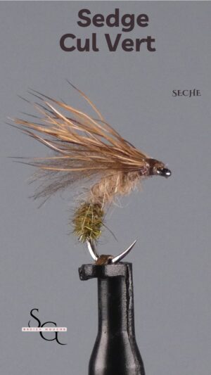 Sedge Cul Vert