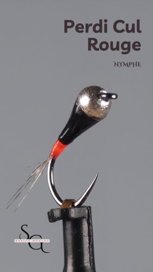 Perdi Cul Rouge