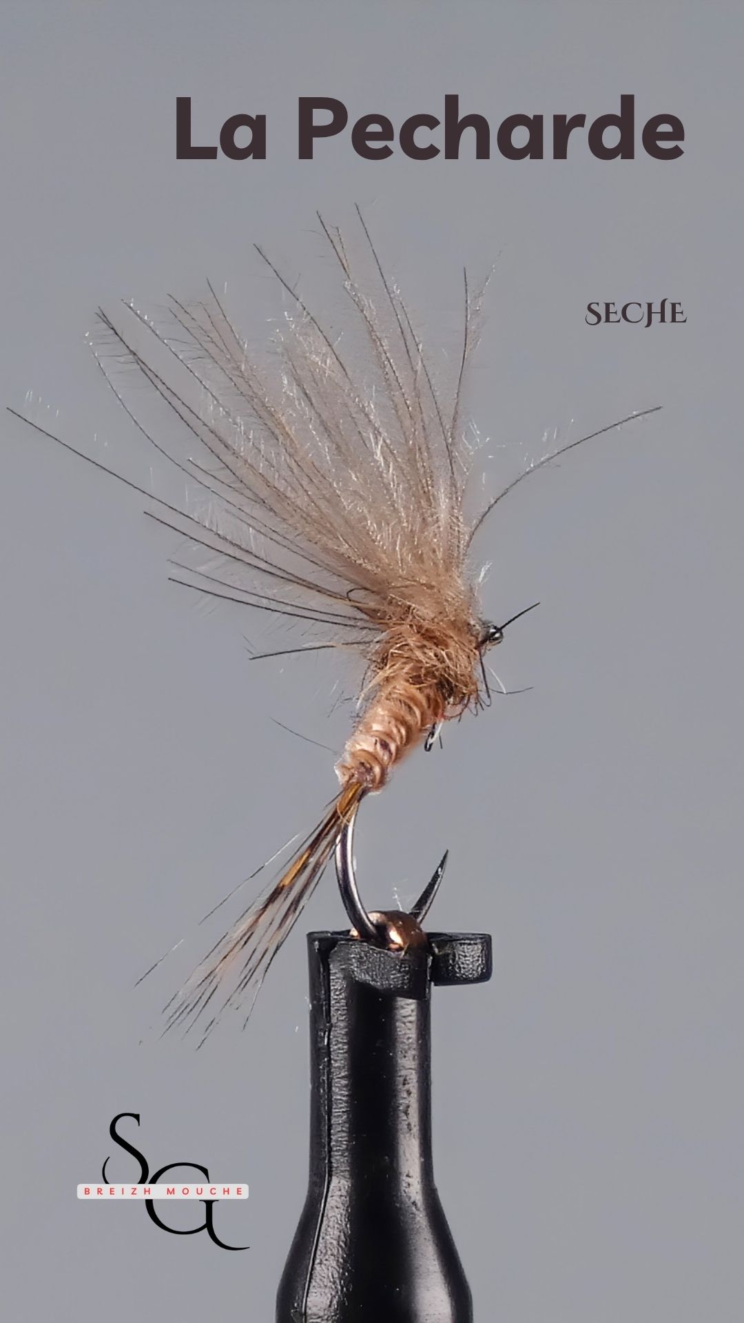 Pecharde – Image 3