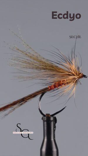 Ecdyo