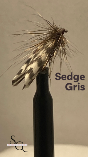 Sedge Gris
