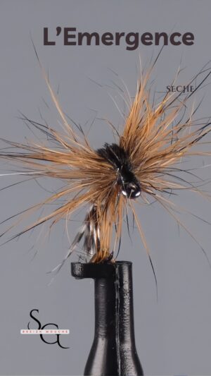 L&rsquo;Emergence