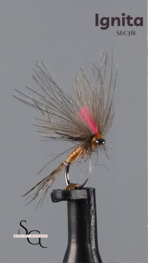 Bi Ailes Ambre